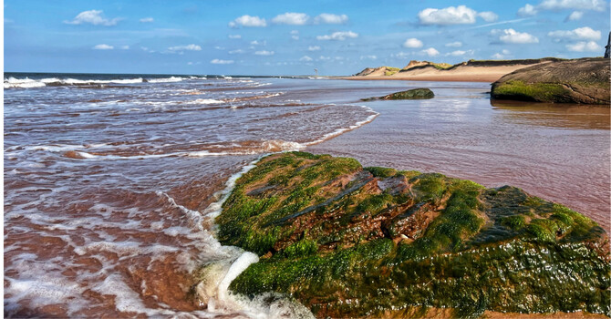 When the Path Feels Foggy (A Note from My Heart) image