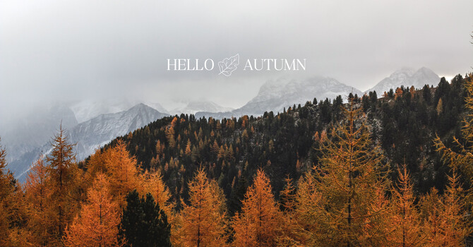 Embrace Autumn: A TCM-Inspired Shift for Your Body and Mind